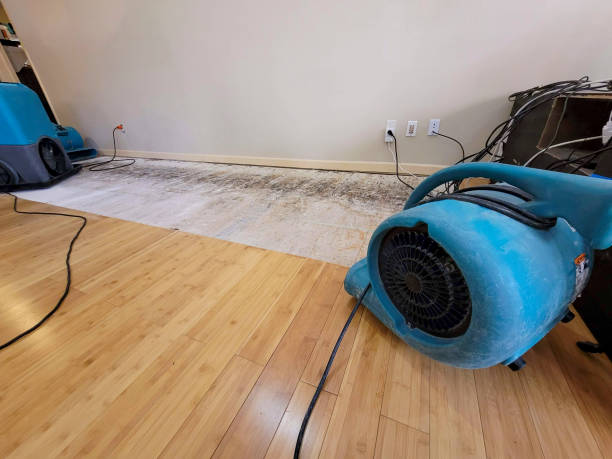 Professional Sewage Cleanup technician working in Andover, KS